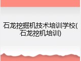 石龙挖掘机技术培训学校(石龙挖机培训)