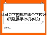 凤凰县学挖机在哪个学校好(凤凰县学挖机学校)