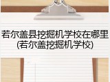 若尔盖县挖掘机学校在哪里(若尔盖挖掘机学校)