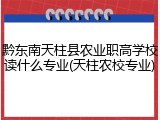黔东南天柱县农业职高学校读什么专业(天柱农校专业)