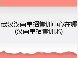 武汉汉南单招集训中心在哪(汉南单招集训地)