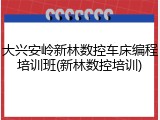 大兴安岭新林数控车床编程培训班(新林数控培训)