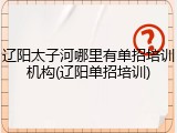 辽阳太子河哪里有单招培训机构(辽阳单招培训)