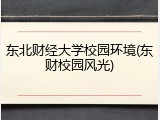 东北财经大学校园环境(东财校园风光)