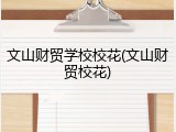 文山财贸学校校花(文山财贸校花)