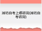 潍坊自考上哪咨询(潍坊自考咨询)