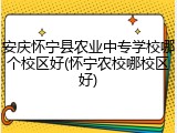 安庆怀宁县农业中专学校哪个校区好(怀宁农校哪校区好)