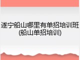 遂宁船山哪里有单招培训班(船山单招培训)