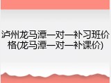 泸州龙马潭一对一补习班价格(龙马潭一对一补课价)