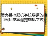 陆良县挖掘机学校靠谱的推荐(陆良靠谱挖掘机学校)