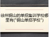 徐州铜山的单招集训学校哪里有("铜山单招学校")