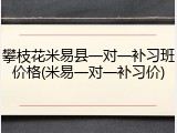 攀枝花米易县一对一补习班价格(米易一对一补习价)