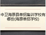 中卫海原县单招集训学校有哪些(海原单招学校)
