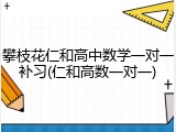 攀枝花仁和高中数学一对一补习(仁和高数一对一)
