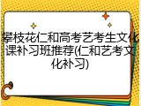 攀枝花仁和高考艺考生文化课补习班推荐(仁和艺考文化补习)