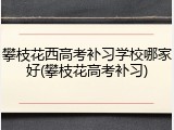 攀枝花西高考补习学校哪家好(攀枝花高考补习)