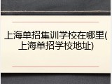 上海单招集训学校在哪里(上海单招学校地址)