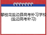 攀枝花盐边县高考补习学校(盐边高考补习)