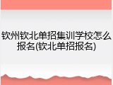 钦州钦北单招集训学校怎么报名(钦北单招报名)