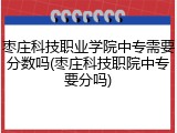 枣庄科技职业学院中专需要分数吗(枣庄科技职院中专要分吗)