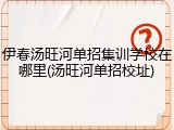 伊春汤旺河单招集训学校在哪里(汤旺河单招校址)