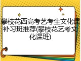 攀枝花西高考艺考生文化课补习班推荐(攀枝花艺考文化课班)