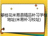 攀枝花米易县精品补习学校地址(米易补习校址)