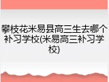 攀枝花米易县高三生去哪个补习学校(米易高三补习学校)