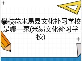 攀枝花米易县文化补习学校是哪一家(米易文化补习学校)