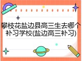 攀枝花盐边县高三生去哪个补习学校(盐边高三补习)