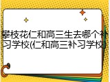 攀枝花仁和高三生去哪个补习学校(仁和高三补习学校)