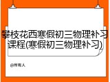 攀枝花西寒假初三物理补习课程(寒假初三物理补习)