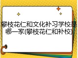 攀枝花仁和文化补习学校是哪一家(攀枝花仁和补校)