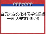 自贡大安文化补习学校是哪一家(大安文化补习)