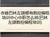 赤峰巴林左旗哪有数控编程培训中心中职怎么样(巴林左旗数控编程培训)