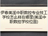 伊春美溪中职数控专业技工学校怎么样在哪里(美溪中职数控学校位置)