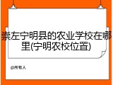崇左宁明县的农业学校在哪里(宁明农校位置)