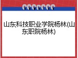 山东科技职业学院杨林(山东职院杨林)