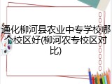 通化柳河县农业中专学校哪个校区好(柳河农专校区对比)