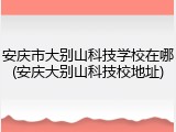 安庆市大别山科技学校在哪(安庆大别山科技校地址)