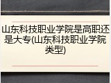 山东科技职业学院是高职还是大专(山东科技职业学院类型)