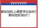 都安挖机上哪里学比较好("都安挖机培训")