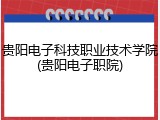 贵阳电子科技职业技术学院(贵阳电子职院)