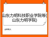 山东力明科技职业学院等(山东力明学院)