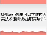 柳州城中哪里可以学数控职高技术(柳州数控职高培训)