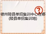 德州陵县单招集训中心在哪(陵县单招集训地)