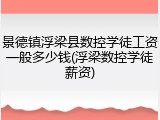 景德镇浮梁县数控学徒工资一般多少钱(浮梁数控学徒薪资)