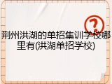荆州洪湖的单招集训学校哪里有(洪湖单招学校)