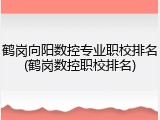鹤岗向阳数控专业职校排名(鹤岗数控职校排名)