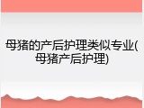 母猪的产后护理类似专业(母猪产后护理)